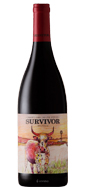 Survivor pinotage